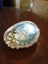 Ancienne énorme coquille d'occasion  Nouzonville