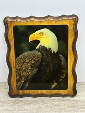 American bald eagle for sale  Oxnard
