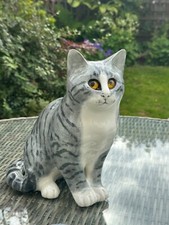 Cute winstanleygrey tabby for sale  UK