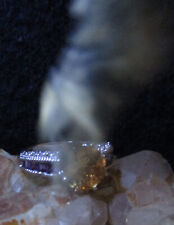 Haunted amulet witchcraft for sale  Cleveland