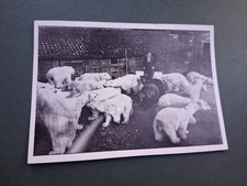 1963 foto postkarte gebraucht kaufen  Deutschland