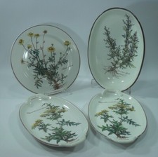 villeroy botanica gebraucht kaufen villeroy botanica gebraucht kaufen Deutschland