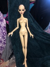 Midnight dance evangeline for sale  Longview
