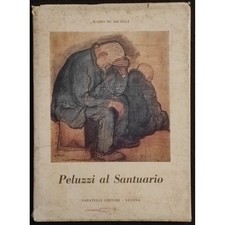 Peluzzi santuario micheli usato  Alessandria