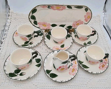 Wild rose villeroy gebraucht kaufen  Diespeck