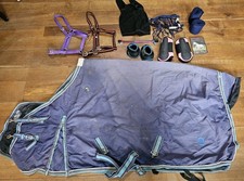 Job lot horse for sale  KIRKBY STEPHEN