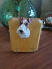 Dog fox terrier for sale  BOLTON