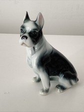 Boston terrier dog for sale  CLECKHEATON