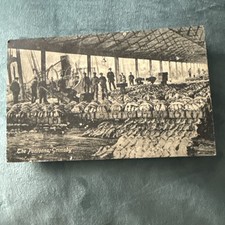Vintage postcard pontoons for sale  BRADFORD