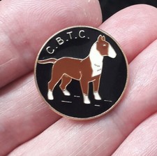 Coloured bull terrier for sale  LONDON
