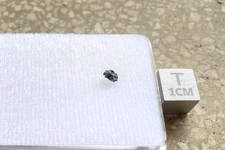 Rare nwa 6963 usato  Gradisca d'Isonzo