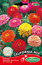 California mix semi usato  Roma
