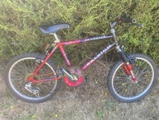 Raleigh activator kids for sale  LONGFIELD