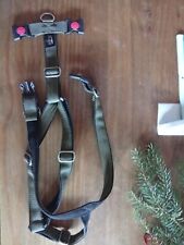 Greyhound premium hunde gebraucht kaufen  Dingelstedt