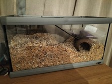 Cage gerbilarium gerbil for sale  LONDON