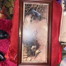 Dawns early light for sale  CHELMSFORD
