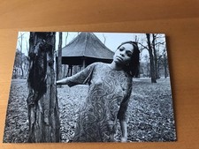 Lee chamberlin original d'occasion  Expédié en Belgium