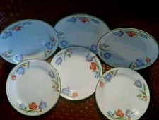 Corning corelle fresh for sale  Rockford