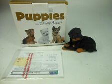 Country artist rottweiler for sale  Brooksville