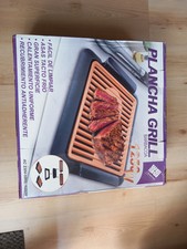 Plancha grill gebraucht kaufen  Renningen