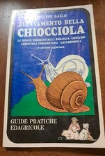 Guida pratica per usato  Piombino