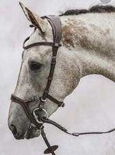 Sweden drop nose for sale  Richmond