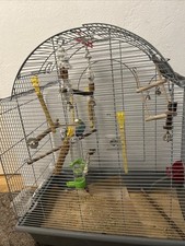 Vogelkäfig gebraucht kaufen  Nürnberg