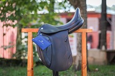 Prestige philosophy dressursat gebraucht kaufen  Stuttgart