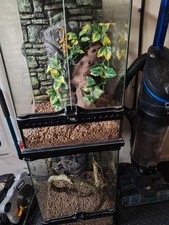 glass vivariums for sale  RETFORD
