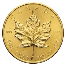 Canadian gold maple for sale  Wilmington