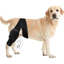 Dog knee brace for sale  UK