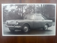 Sunbeam tiger abbildung gebraucht kaufen  Münster