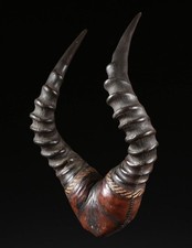 Malinké power object for sale  New York