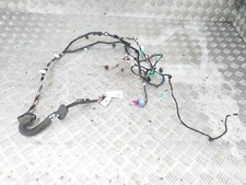 Tesla model door for sale  TIPTON