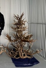 Antler chandelier large for sale  Reeds Spring