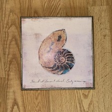 Sea shell spiral for sale  Boca Raton