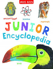 Junior encyclopedia bumper for sale  ROSSENDALE