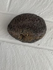 volcanic rock for sale volcanic rock for sale San Mateo