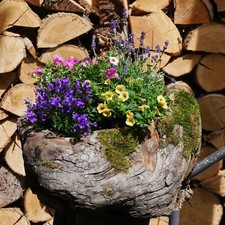 Exklusive blumenschale garten gebraucht kaufen  Walzbachtal