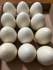 White eggs fake for sale  Danville