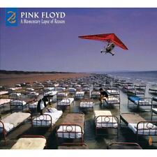 Pink floyd momentary usato  Catania