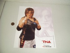 Vintage hamada tna for sale  York
