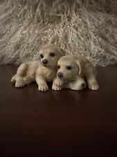 Golden labrador dog for sale  CONSETT