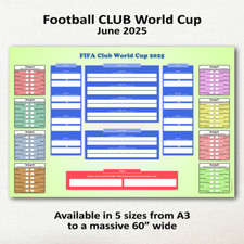 Fifa club cup for sale  READING