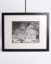 framed print ansel adams for sale framed print ansel adams for sale Indianapolis