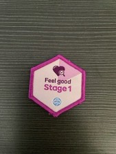 Girlguiding feel good for sale  SALISBURY