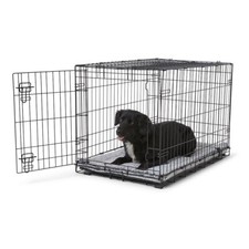 Pets home single for sale  SURBITON