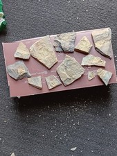 British mixed fossil for sale  WHITCHURCH