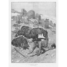 Caton woodville perilous for sale  GLASGOW