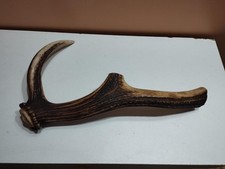 Beau morceau bois d'occasion  France